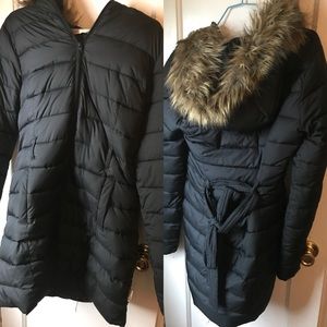 Hollister Parka Coat